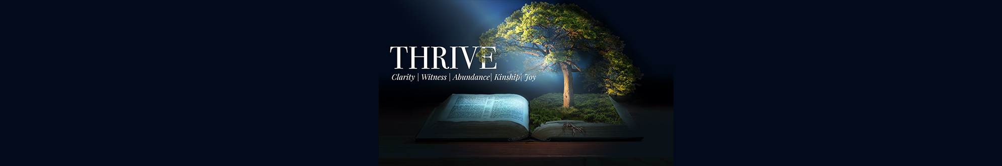 Witness – Thriving Through Testimony